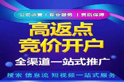 竞价排名在电商行业的实战案例